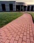 Brick Walkway by Southern New England School of Law